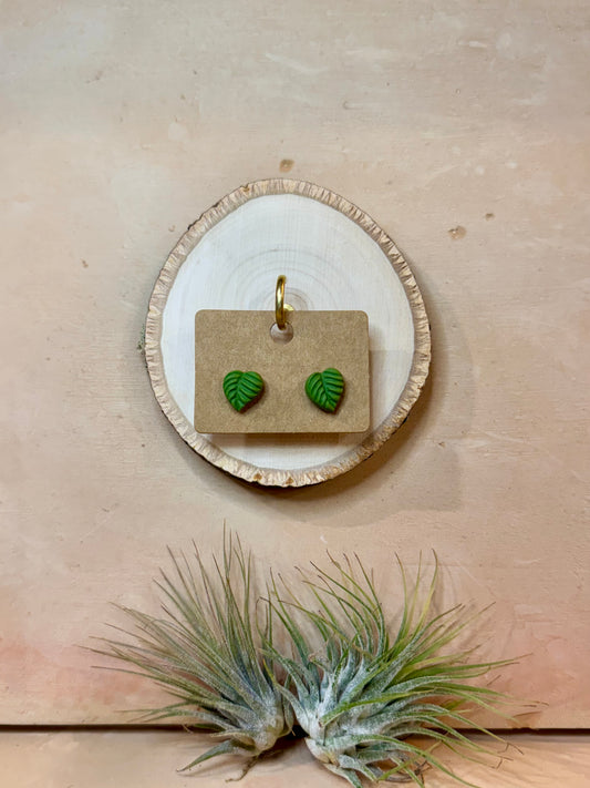 Mini Monstera Studs